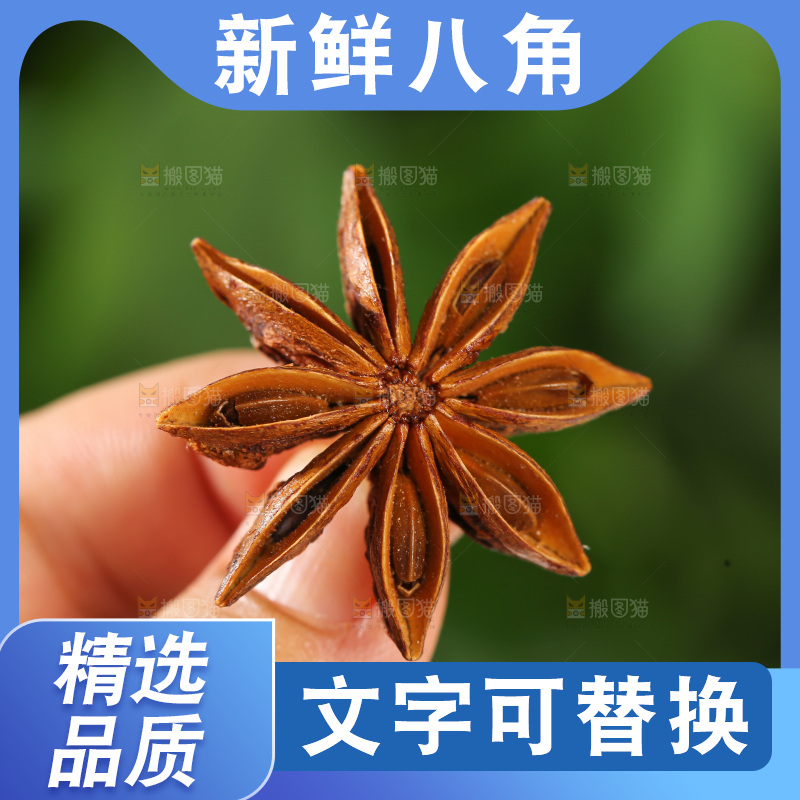 八角