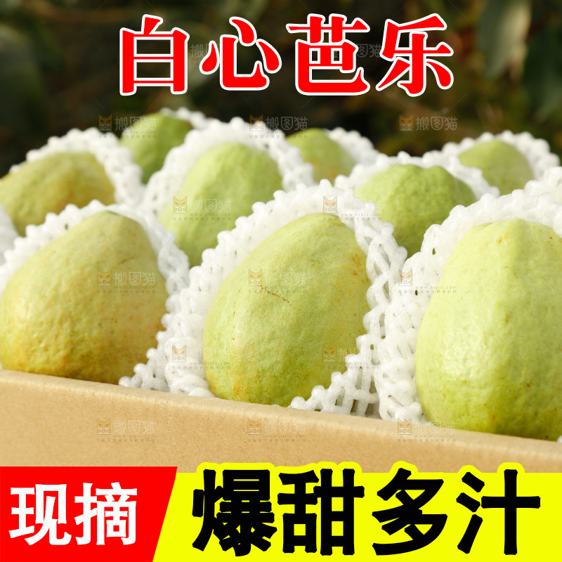 白心芭乐