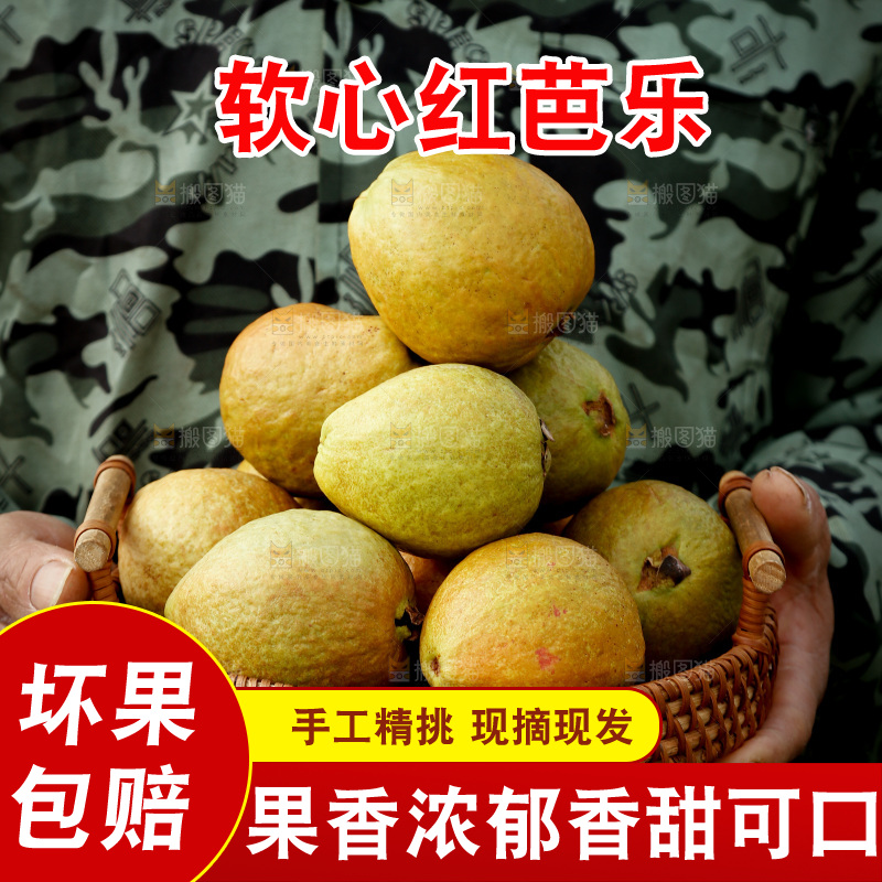 红心芭乐