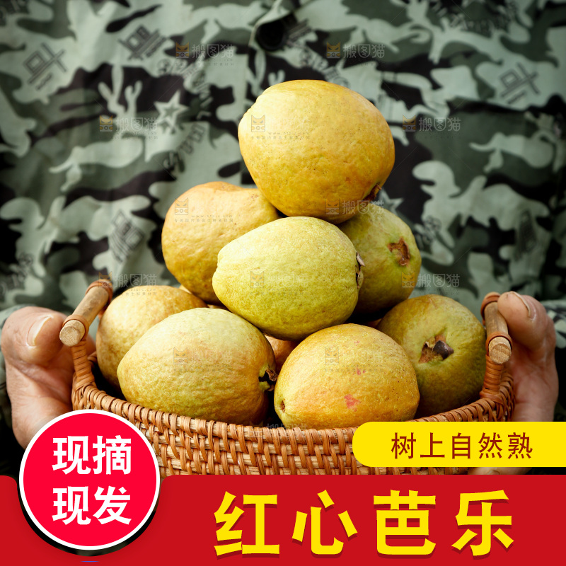 红心芭乐