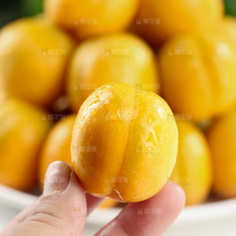 李广杏