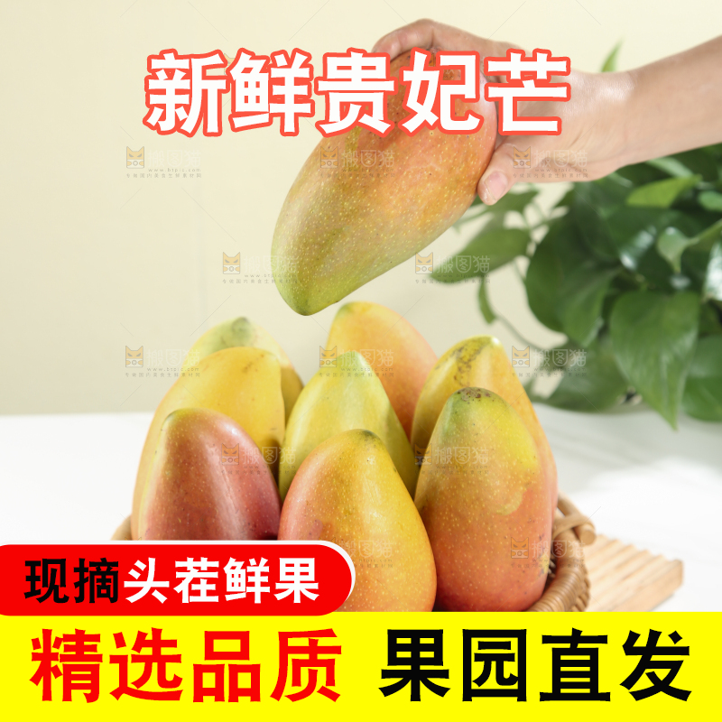 贵妃芒