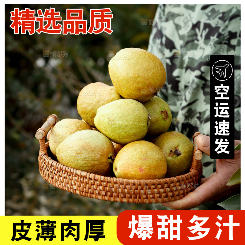 红心芭乐