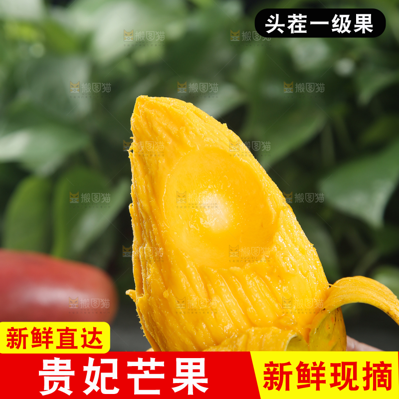 贵妃芒