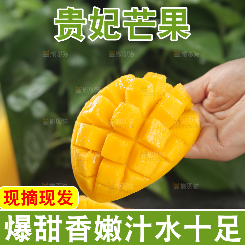 贵妃芒