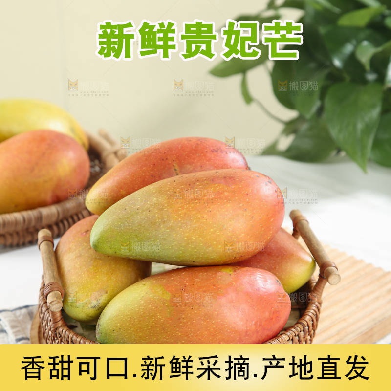 贵妃芒