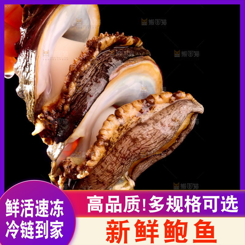 鲍鱼