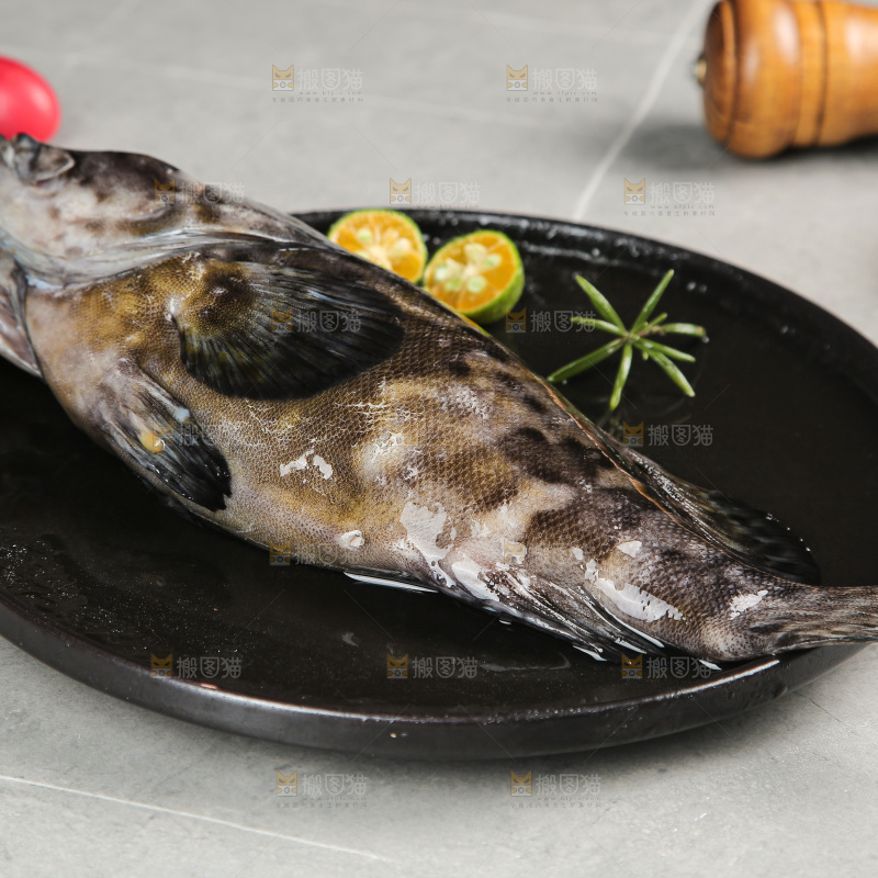 石斑鱼