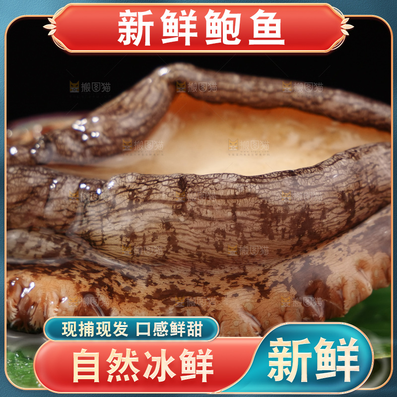 鲍鱼