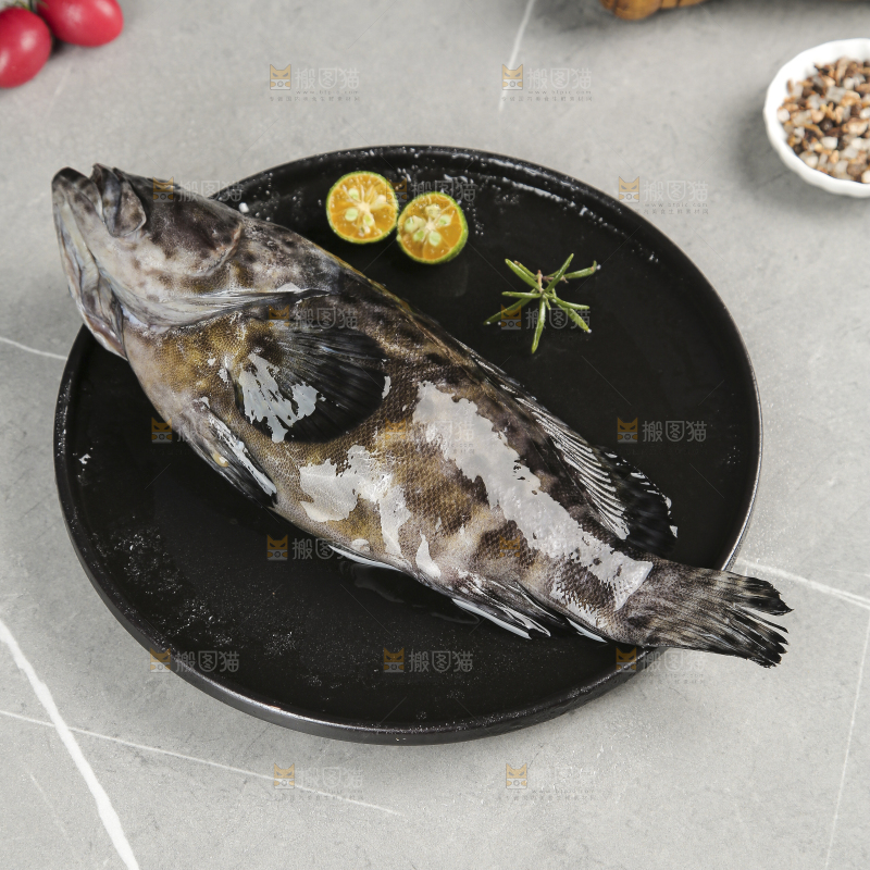石斑鱼