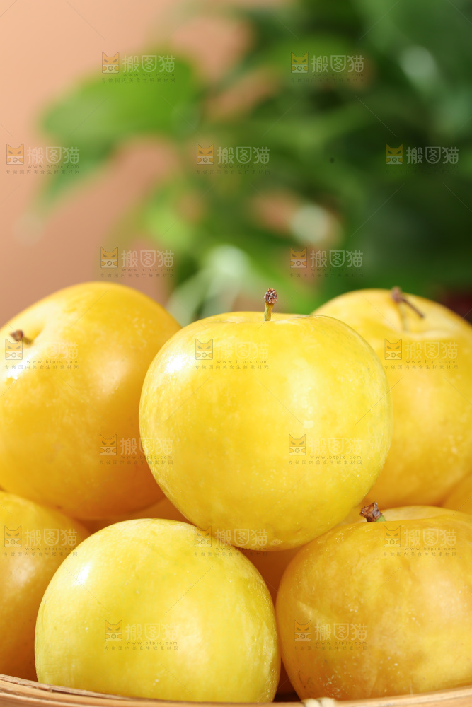 桃花李