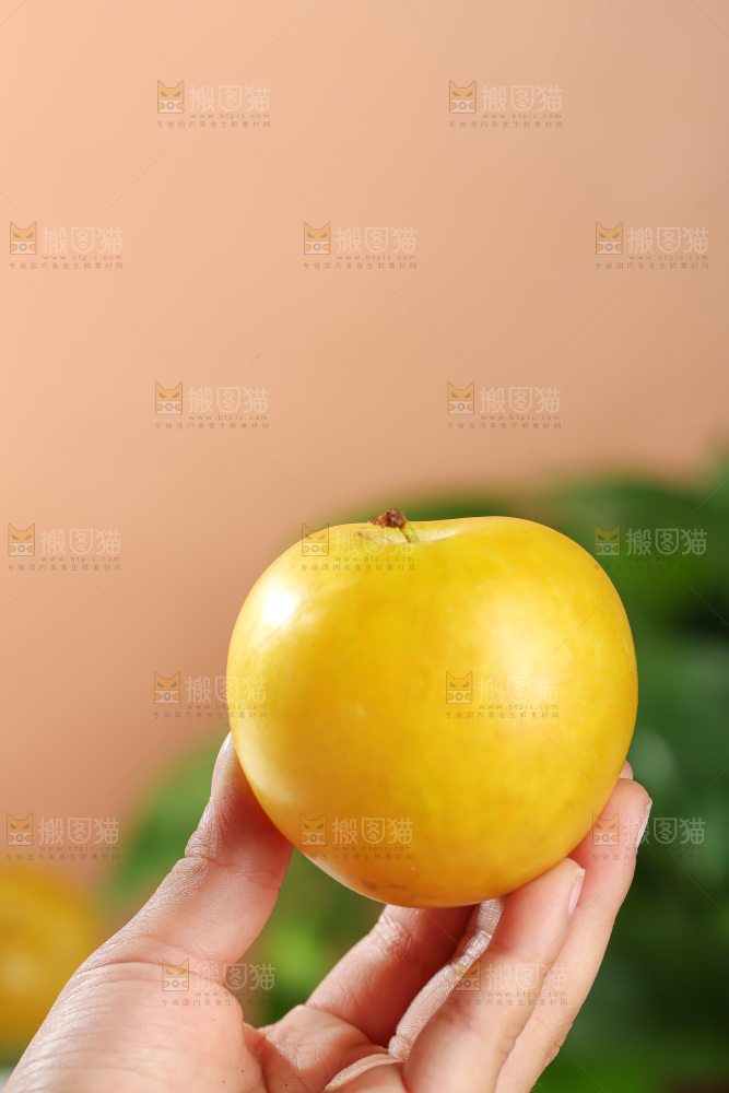 桃花李