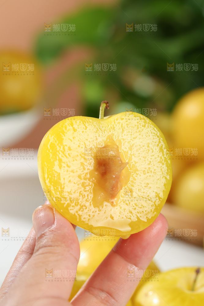 桃花李