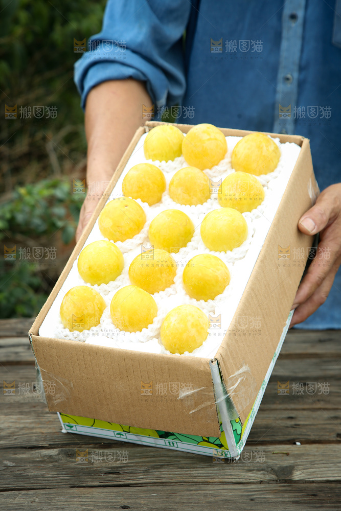 桃花李