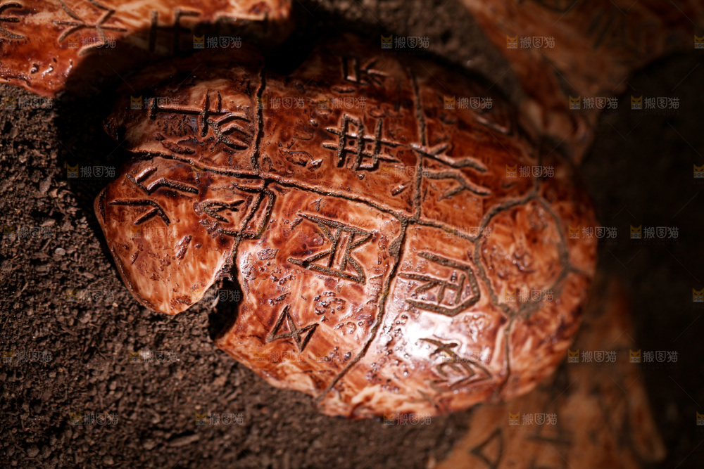 甲骨文