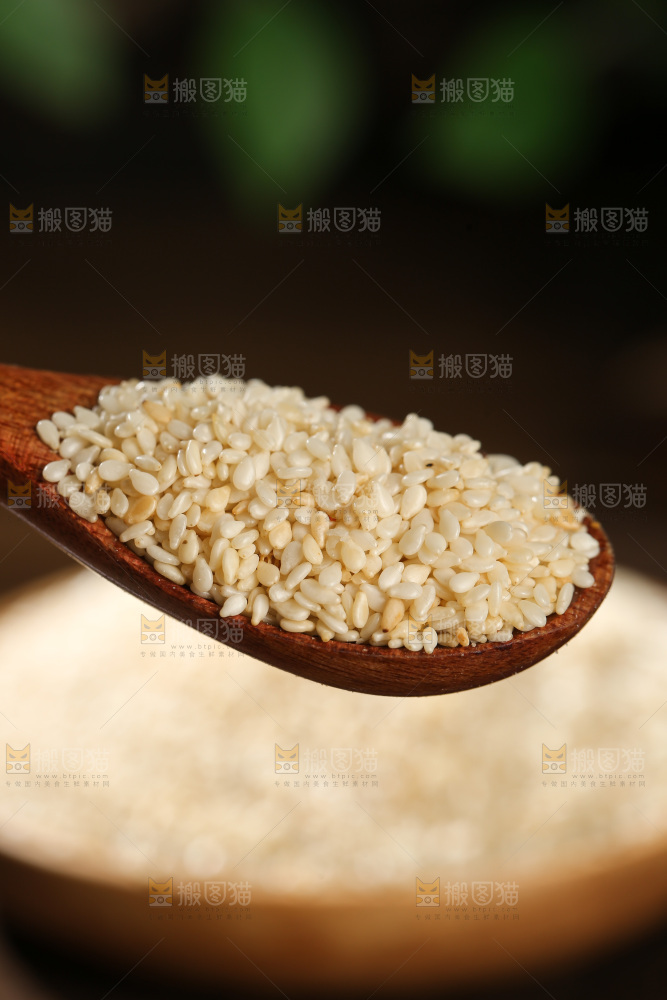 白芝麻