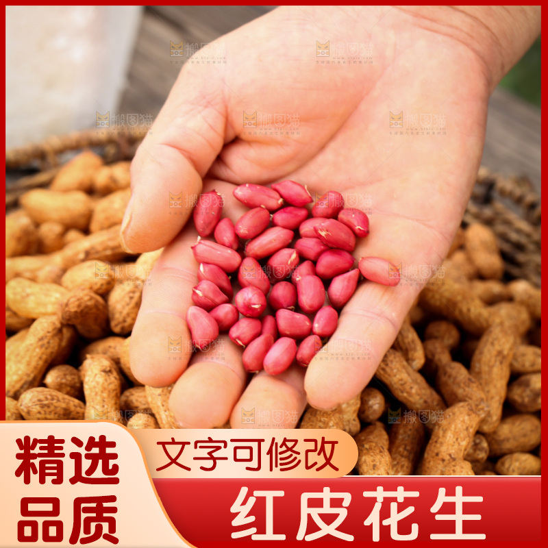 红皮花生