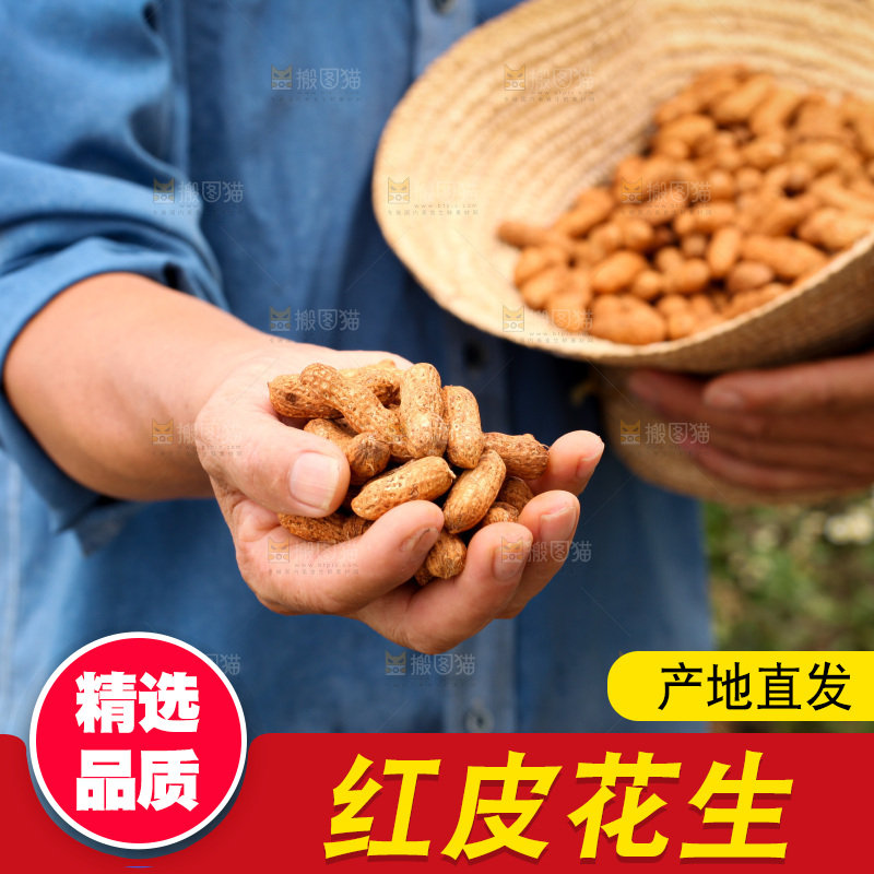 红皮花生