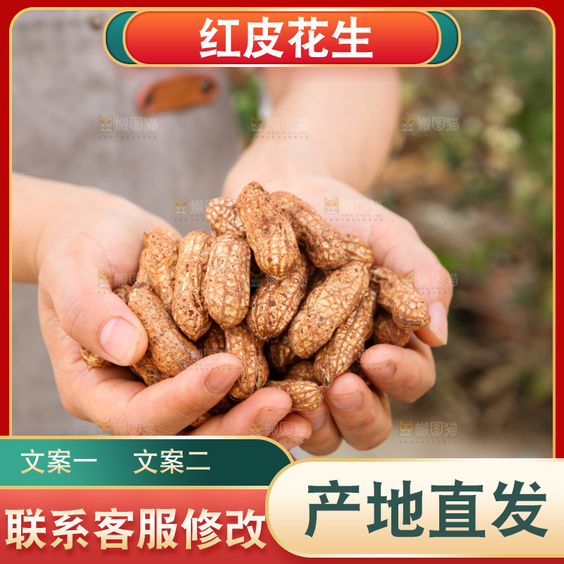 红皮花生