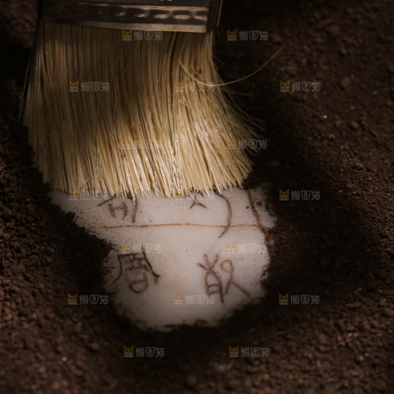 甲骨文