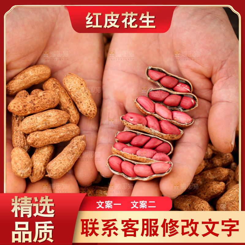 红皮花生