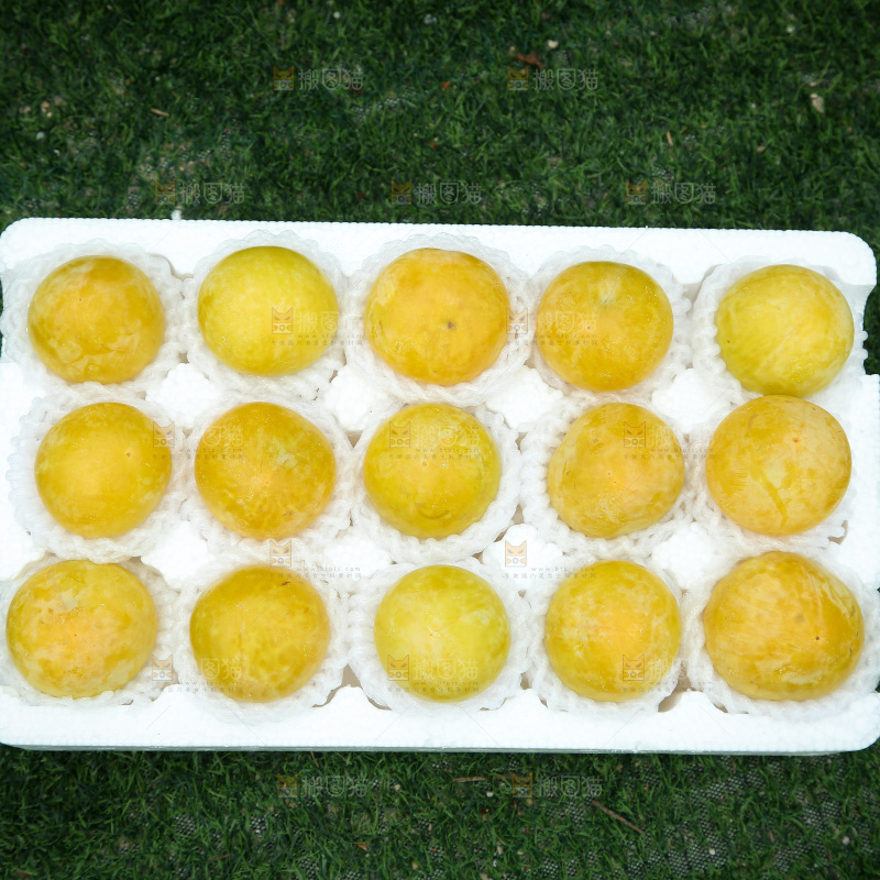 桃花李