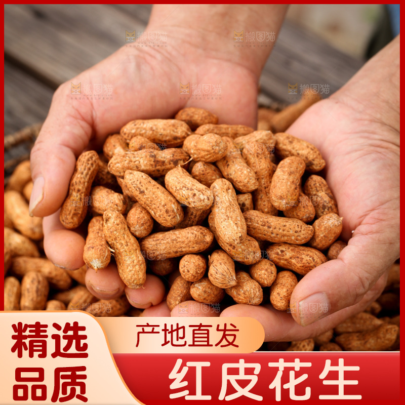 红皮花生