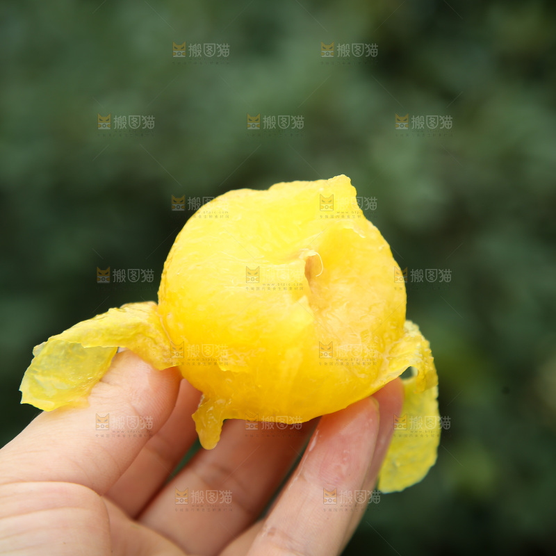 桃花李