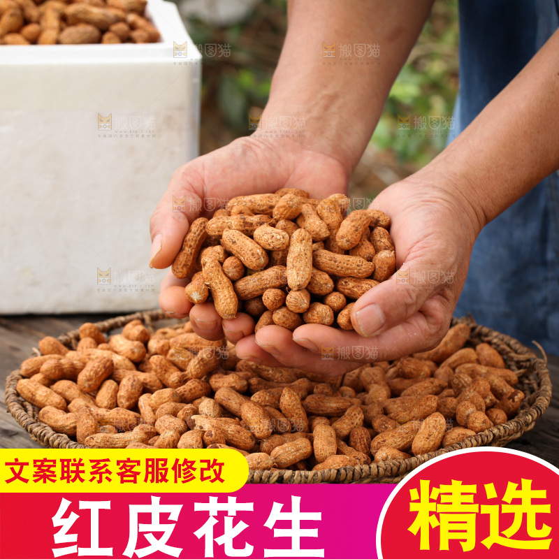 红皮花生
