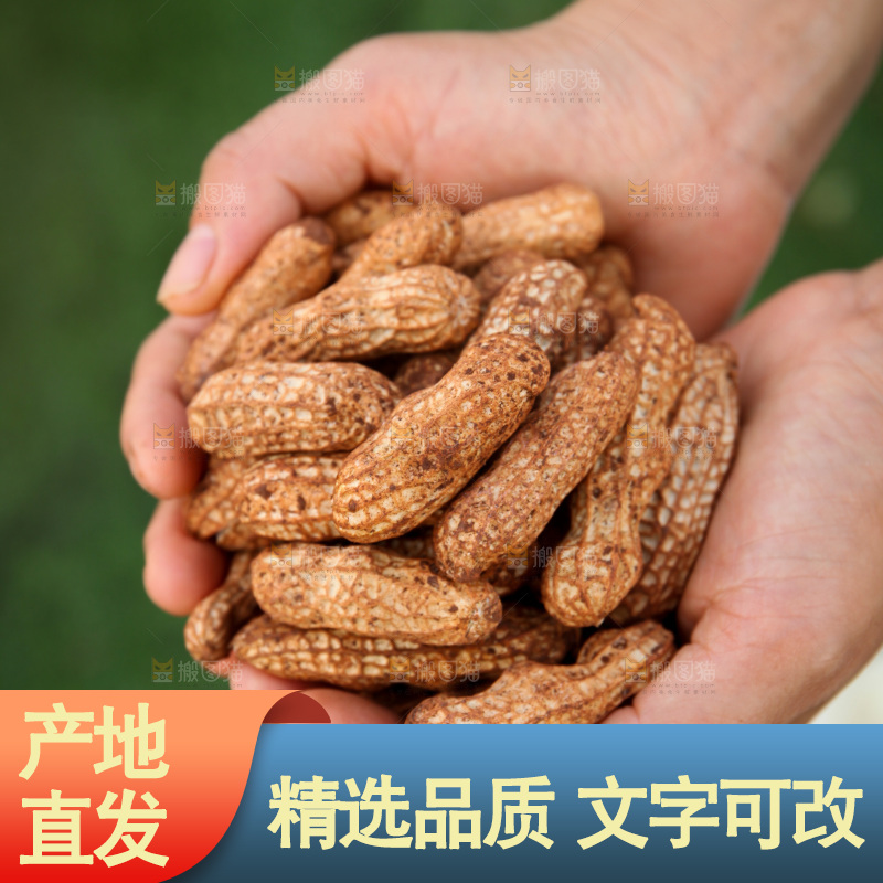 红皮花生