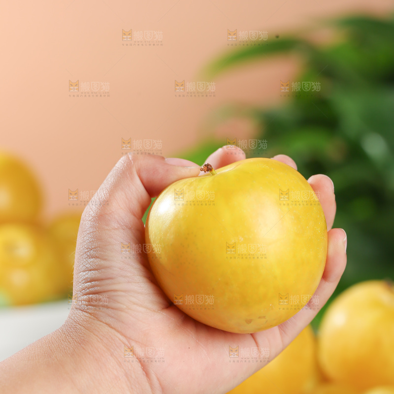 桃花李