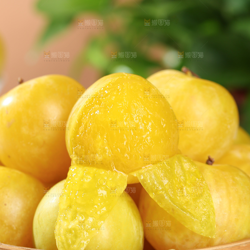 桃花李