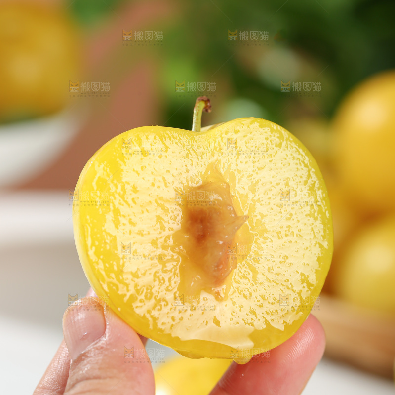 桃花李