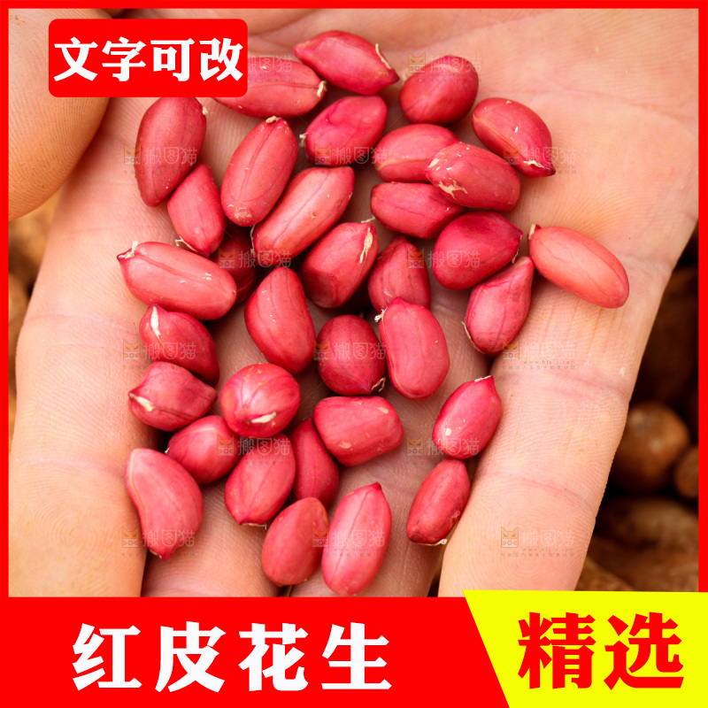 红皮花生
