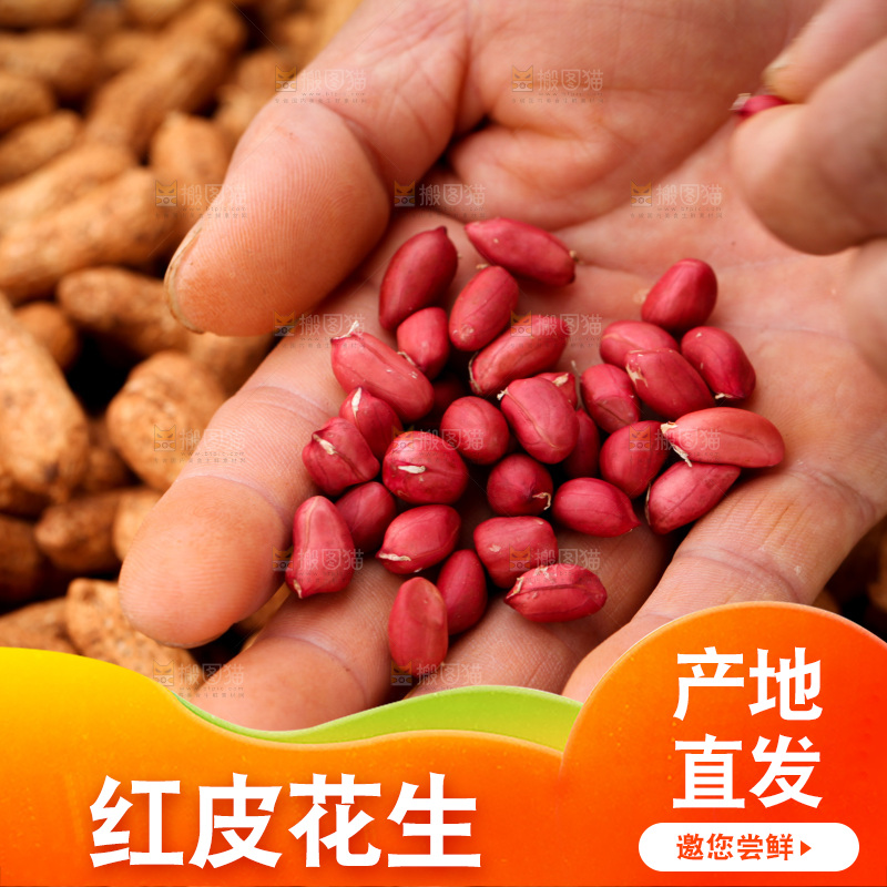 红皮花生