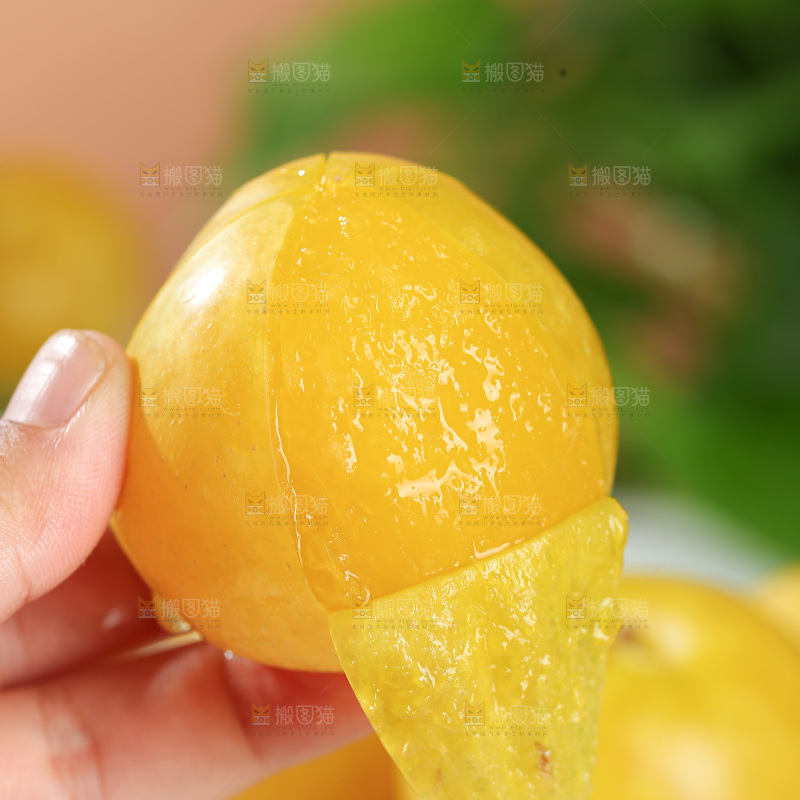 桃花李