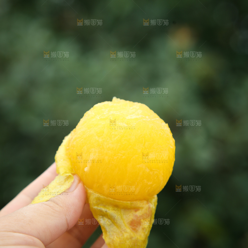 桃花李