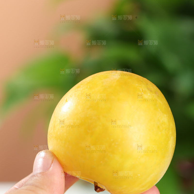 桃花李