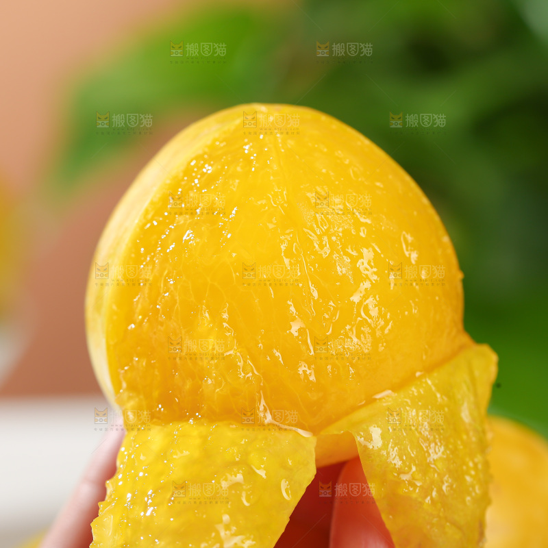 桃花李