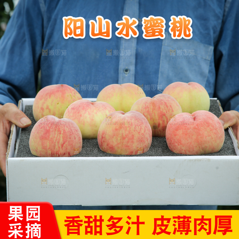 阳山水蜜桃
