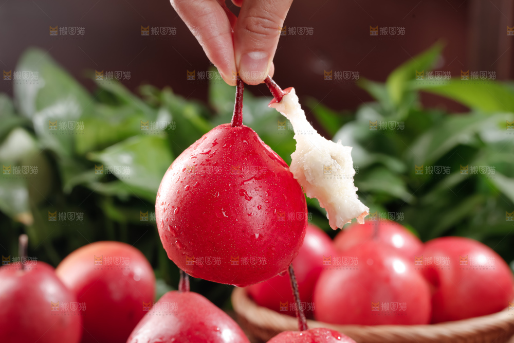 红啤梨