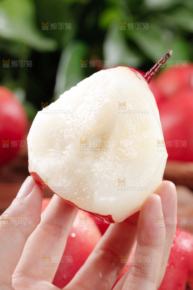 红啤梨
