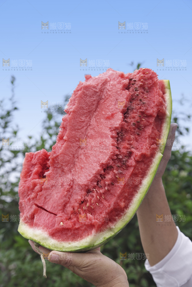 石头瓜