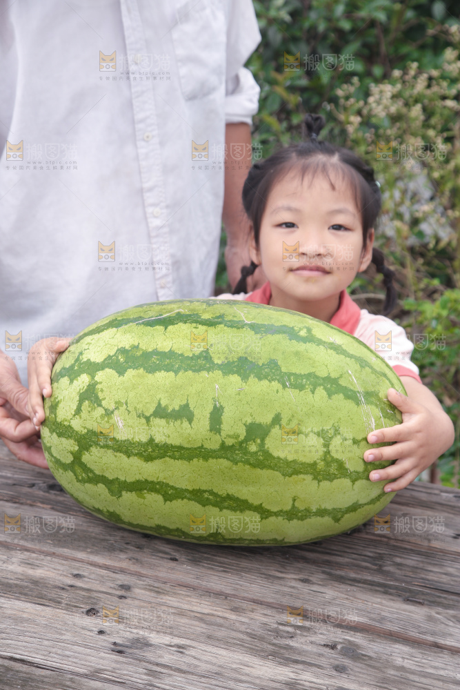 石头瓜