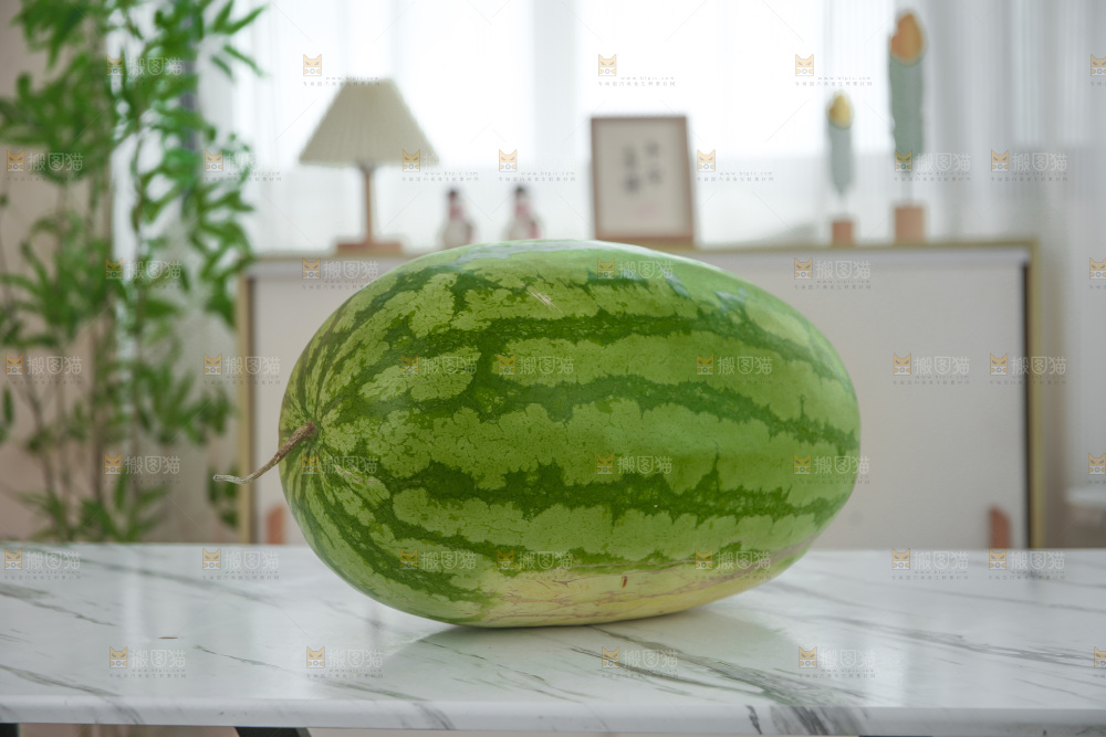 石头瓜