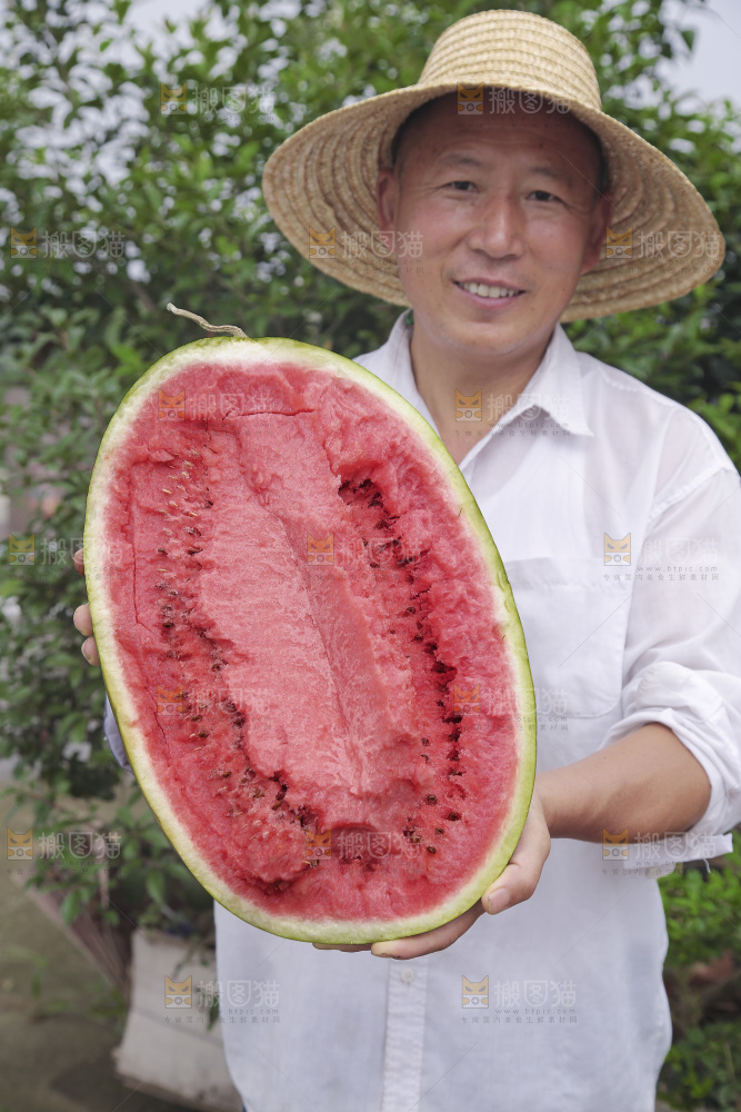 石头瓜