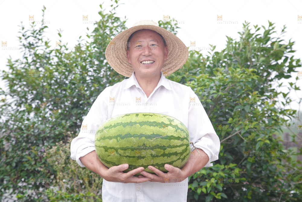 石头瓜