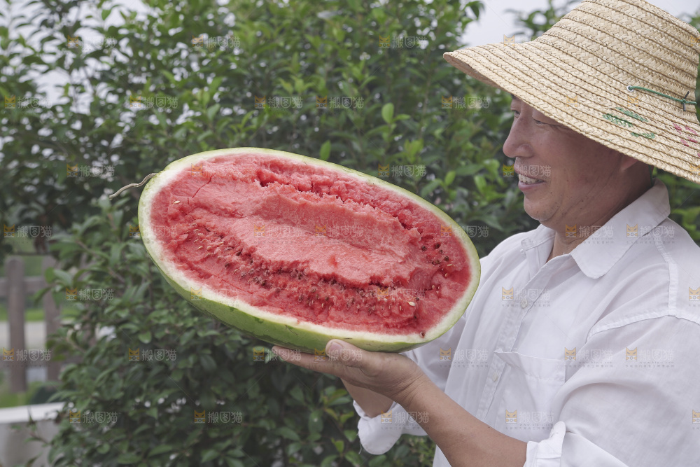 石头瓜