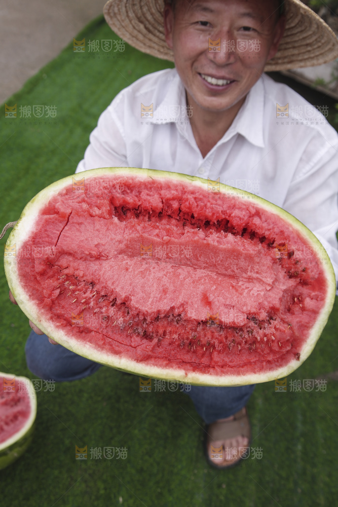 石头瓜