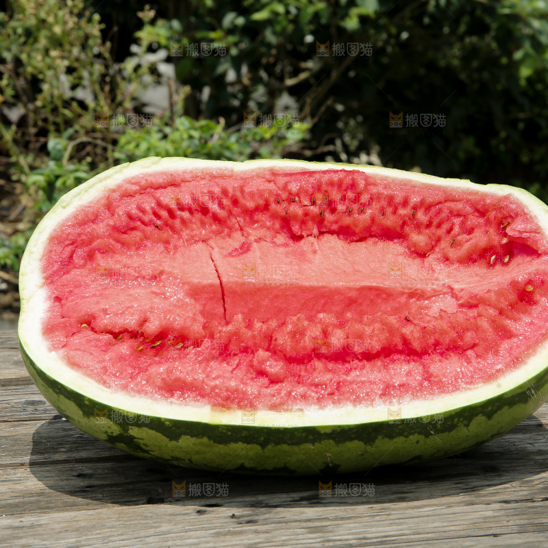 石头瓜